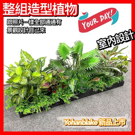 假植物|仿真植物｜優惠推